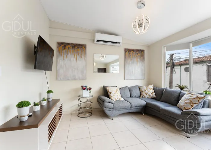 The Cozy Apartment